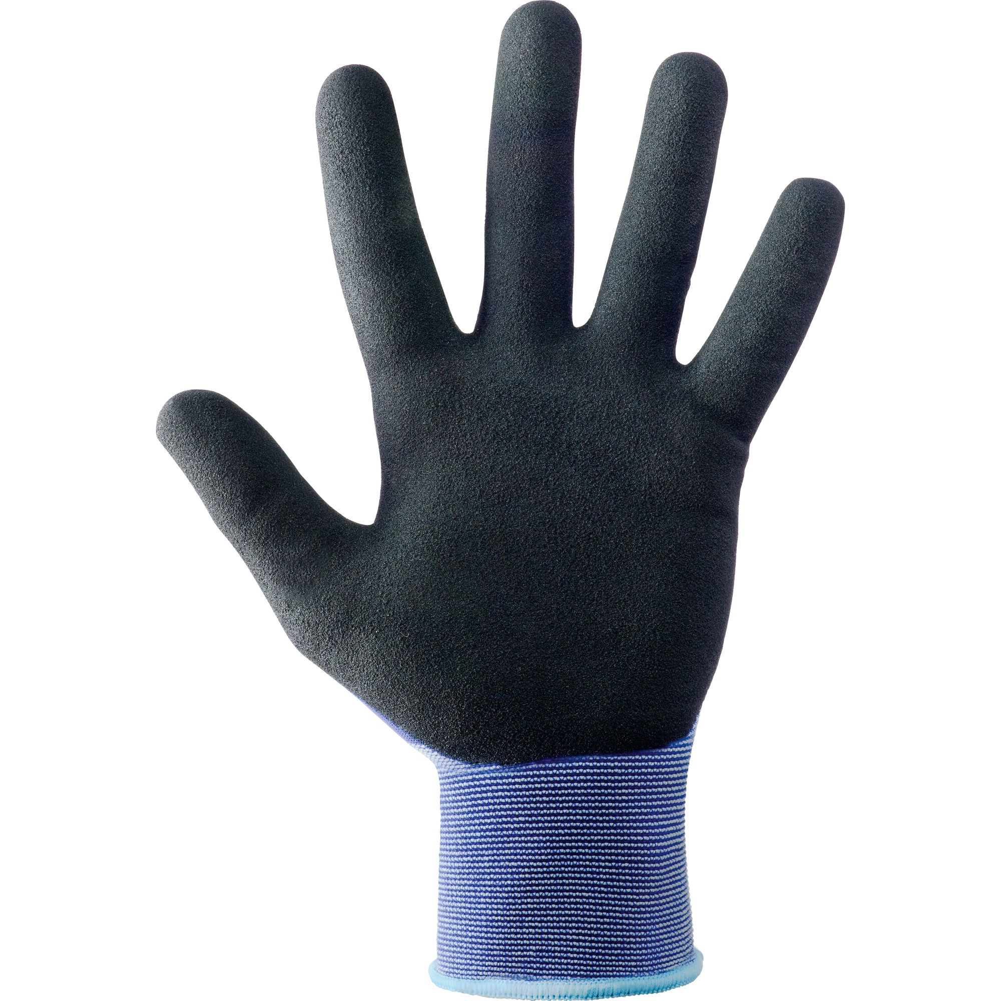 353099 NITRAN SOFT
